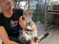 PAPERINO, cucciolone dagli occhi d'ambra