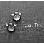 i_was_there_2_0_by_kis_art-d3cngiq