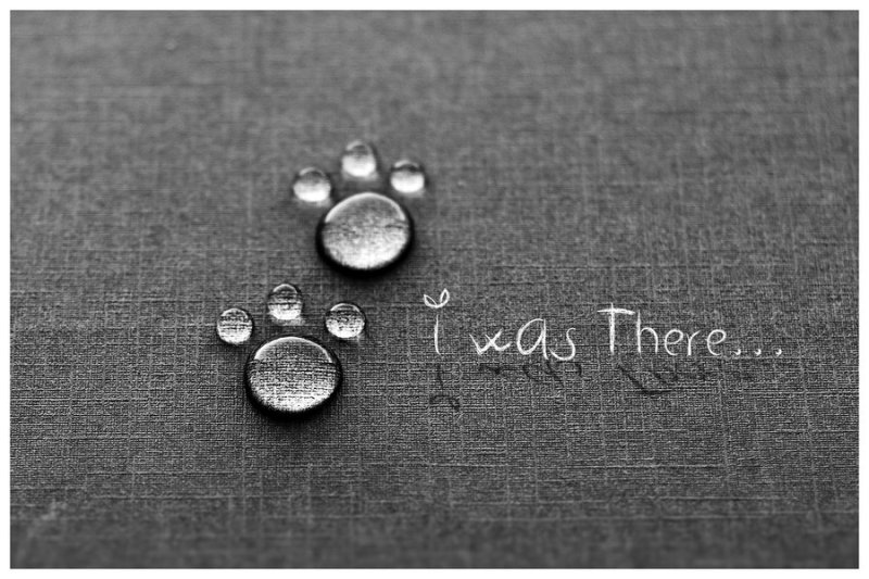i_was_there_2_0_by_kis_art-d3cngiq